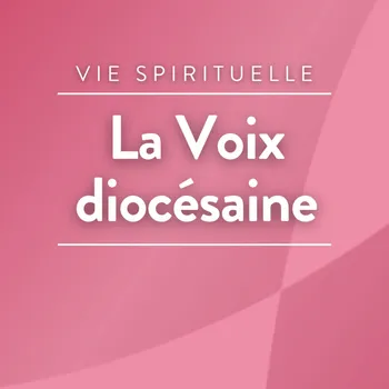 La voix diocésaine : la bibliothèque Grammont visitée