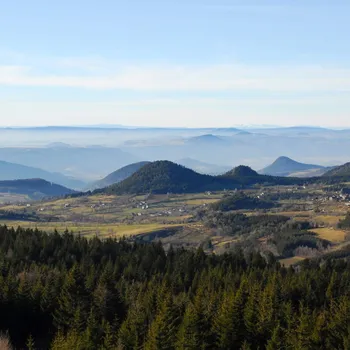 Chronique patrimoine