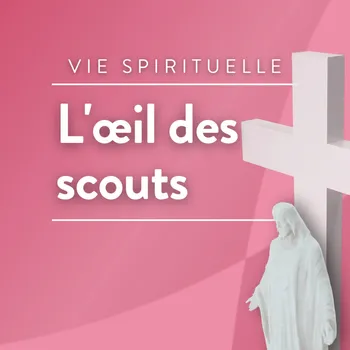 L'œil des scouts
