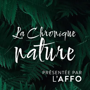 La chronique nature